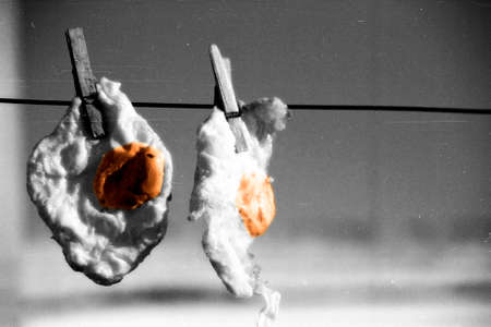 hanging eggs in vintage styleの写真素材