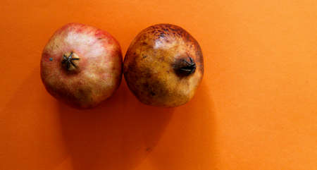 close up of fruit
の写真素材
