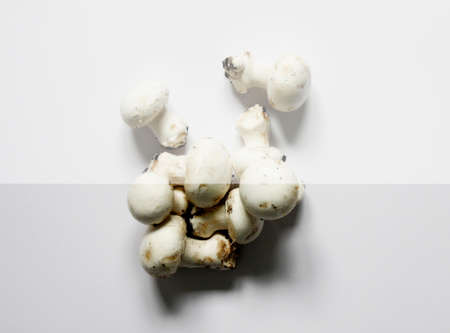close up of mushrooms
の写真素材