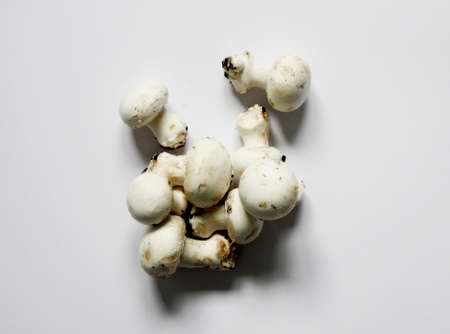 close up of mushroomsの写真素材