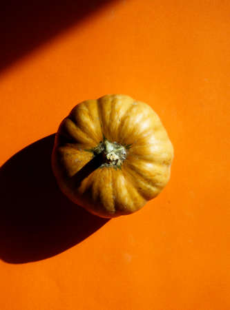 close up of pumpkinの写真素材