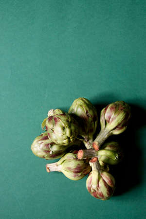 close up of Alchofasの写真素材