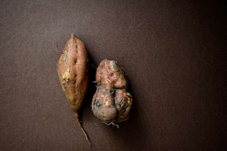 Sweet potatoの写真素材