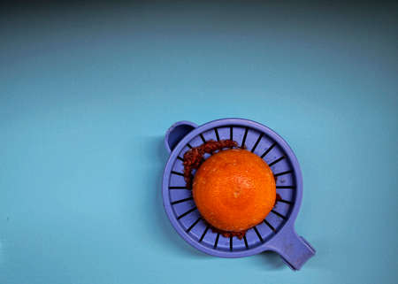 Grapefruit