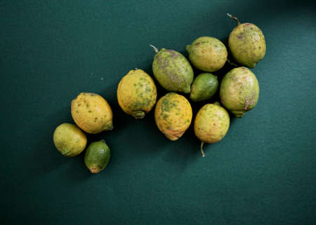 Picture about a vegetableの写真素材