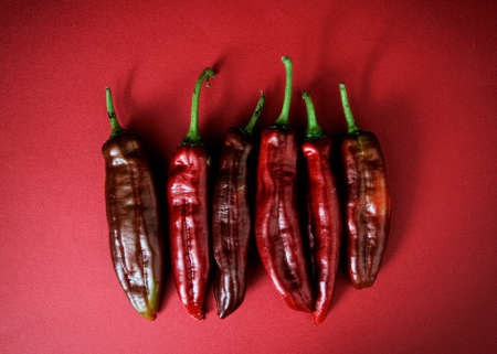 Picture about a vegetableの写真素材