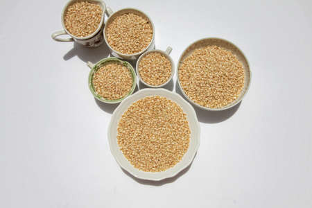 Rice