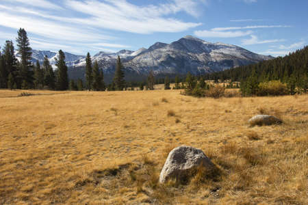 View of Yosemite National parkの写真素材