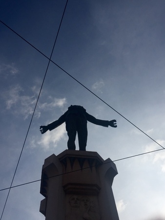 Freedom between linesの素材