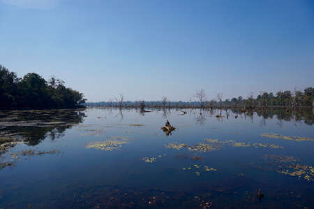 Big blueの写真素材