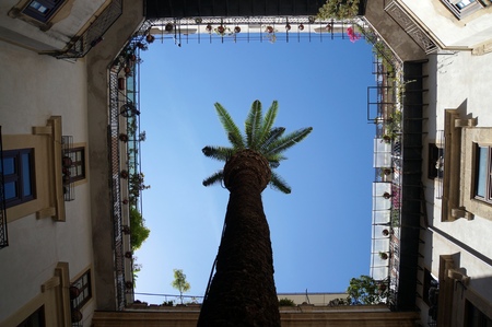 Patio view below a tree.の写真素材