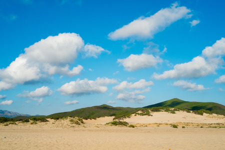 Piscinas beach dunes in  Green coast, west Sardinia, Italyの写真素材