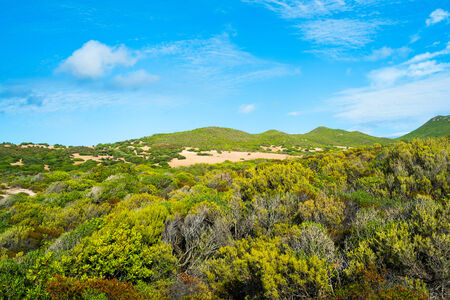 Hills behind Scivu beach, Sardinia west coast, Arbus, Italyの写真素材