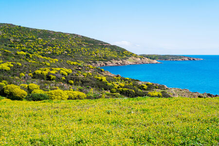 Landscape in Asinara island in Sardinia, Italyの写真素材