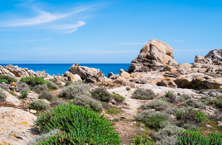 Rocks in Cala Sabina in Asinara island in Sardinia, Italyの写真素材