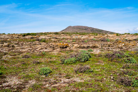 Landscape in Asinara island in Sardinia, Italyの写真素材