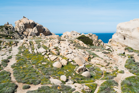 Trekking along the coast in Capo Testa, Santa Teresa di Gallura, Sardinia, Italyの写真素材