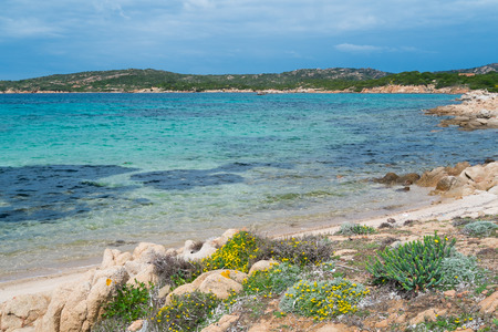 Beach in Caprera island, La Maddalena, Sardinia, Italyの写真素材