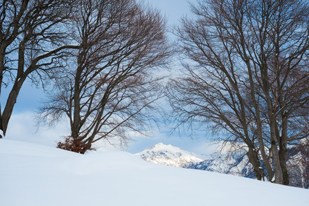 Alps Montains with snow on the way to Grigna, Lecco, Italyの写真素材