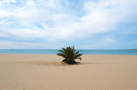 Beach in San Lucar de Barrameda, Andalusia, Spainの写真素材
