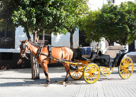 Horse carriage in Seville, Andalusia, Spainの写真素材