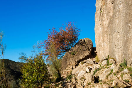 Rock formation in Patones, Madrid, Spainの写真素材
