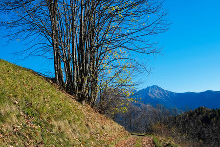 Autumn in Val di Scalve, Alps mountains, Italyの写真素材