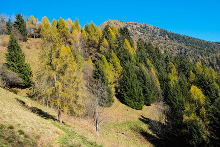 Autumn in Val di Scalve, Alps mountains, Italyの写真素材