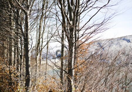 Tre in winter, passo del Lagastrello, Tuscany, Italyの写真素材
