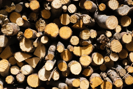 Woodpile in Alps mountainsの写真素材