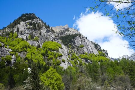 Granite mountains in Val di Mello, Val Masino, Italyの写真素材