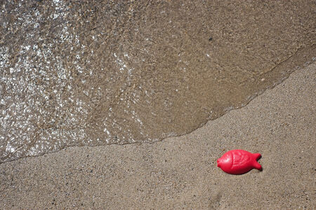 Plastic fish on the seaside in a beach in Sardiniaの写真素材
