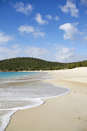 Tuerredda beach in South of Sardinia, Italyの写真素材