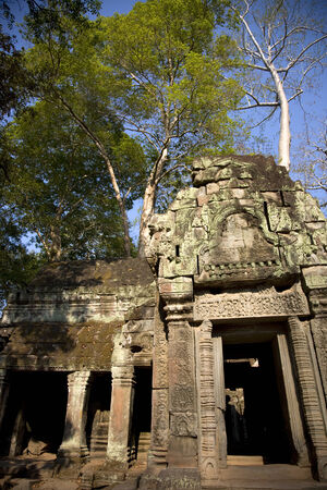 Ta Prohm temple in Angkor; Siem Reap; Cambodiaの写真素材
