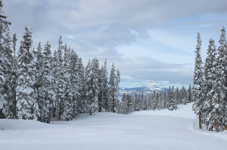 Steamboat Springs, colorado, Usaの写真素材