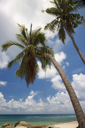 Beach in Koh Samui island, Thailandの写真素材