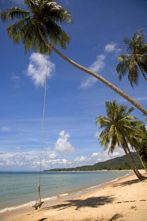 Beach in Koh Samui island, Thailandの写真素材