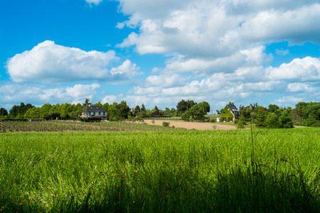 Countryside in spring near Angers, Franceの写真素材