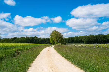 Road in the countryside near Angers, Franceの写真素材
