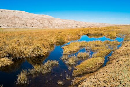 River in a canyon in Chiu Chiu, Calama, Chileの写真素材