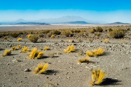 Deserted landscape with volcanoes and Salar in Ollague, border between Bolivia and Chileの写真素材