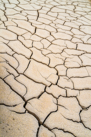 Cracks in the mudの写真素材