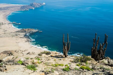 Aerial view of the coast in Parque Nacional Pan de Azucar, Chileの写真素材