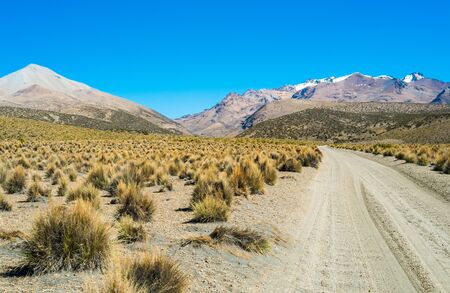 Landscape and dirt road in Sajama National Park, Boliviaの写真素材