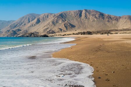 Beach in Parque Nacional Pan de Azucar, Chileの写真素材