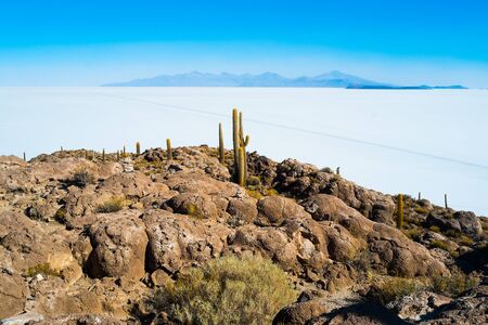 View of Isla Inca Wasi with cactus on the Salar the Uyuni, Boliviaの写真素材