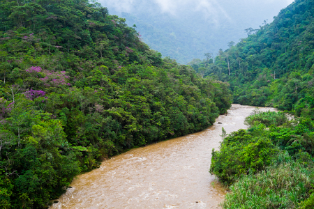 River in Podocarpus National Park near Zamora, Ecuadorの写真素材
