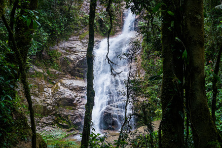 Waterfall in Podocarpus National Park near Zamora, Ecuador