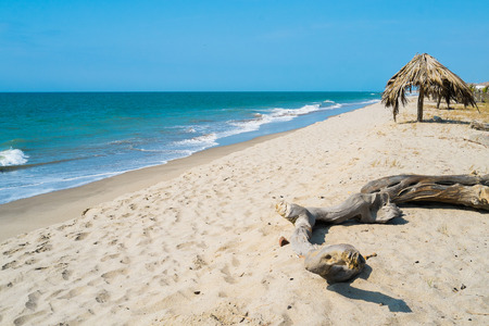 Beach of Zorritos, Tumbes, Peruの写真素材