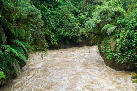 River in Podocarpus National Park near Zamora, Ecuadorの写真素材